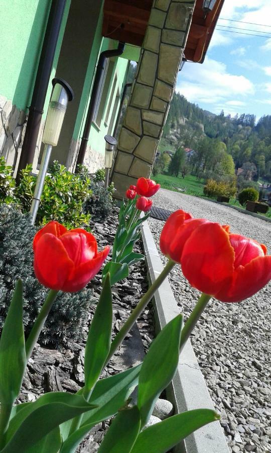 Zielone Zacisze Hotell Krościenko Exteriör bild